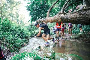 BIB: 
                            <button type="button" onclick="openModal(25454642)" class="btn btn-primary btn-sm float-right btn-popup" data-toggle="modal" data-target=".modal-high-quality">
                        <i class="fas fa-shopping-cart"></i> Add to Cart
                    </button>
                                            <button type="button" onclick="isThisMe(25454642, true)" class="btn btn-success btn-sm float-right btn-popup btn-isme hidden" data-toggle="tooltip" data-placement="bottom" title="นี่คือรูปของคุณใช่ไหม คลิกที่นี่เพื่อเอาเข้าอัลบั้ม">
                        <i class="fas fa-plus"></i> Add to album
                    </button>
                    <button type="button" onclick="isThisMe(25454642, false)" class="btn btn-warning btn-sm float-right btn-popup btn-isnotme hidden">
                        <i class="fas fa-ban"></i> Remove from album
                    </button>